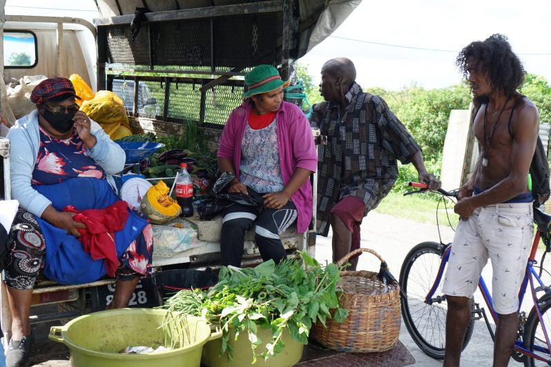 Margaret Rudolph and her workers on the canter truck selling greens and fruits in Vriesland Village