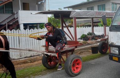 Uitvlugt Village (Carl Croker photos)