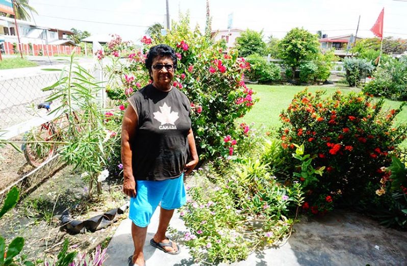 Shaircoomarry Ramnarine better known as ‘Aunty Betty’ among her plants.