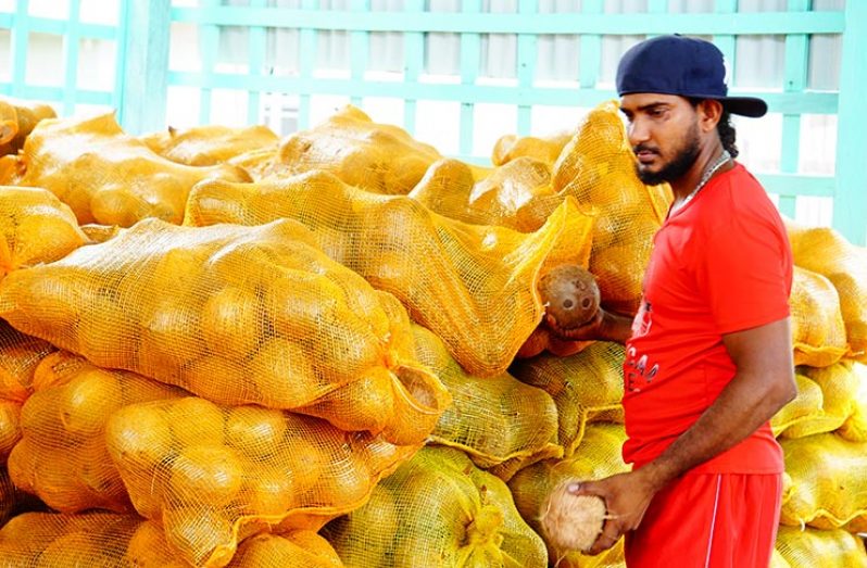 Javed Ayube called the Coconut Boss