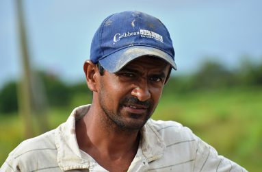 Farmer, Kishan Deonarine Persaud (Carl Croker photos)