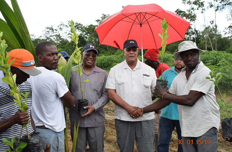 Agriculture Minister Noel Holder hands over planting materials to Chairman of the Ithaca Co-op, Desmond Weekes.
