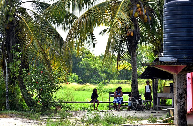 picturesque scene at the back of Riverstown Village on the Essequibo Coast (Carl Croker photo)