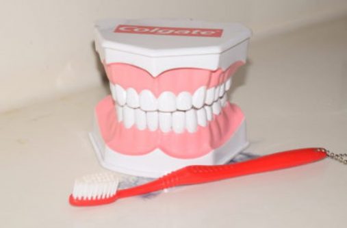 Demonstrative material used to carry out oral health educational sessions in schools
