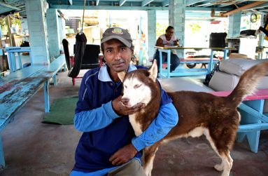 Veeru Kadhar poses with Fred, the Husky (Carl Croker photos)