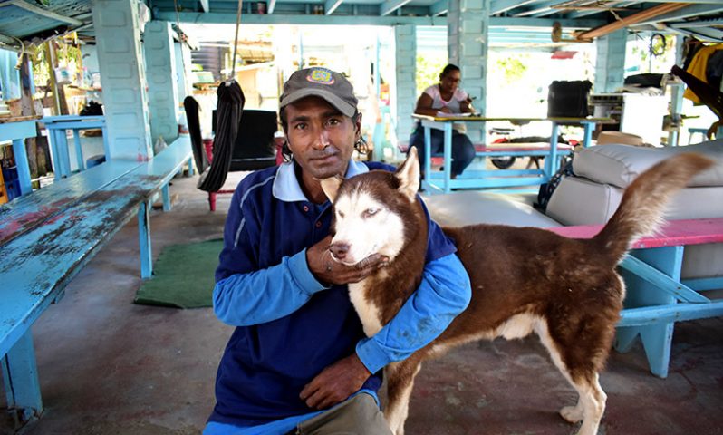 Veeru Kadhar poses with Fred, the Husky (Carl Croker photos)