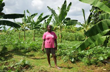 Samantha Benjamin in her plant nursery (Carl Croker photos)