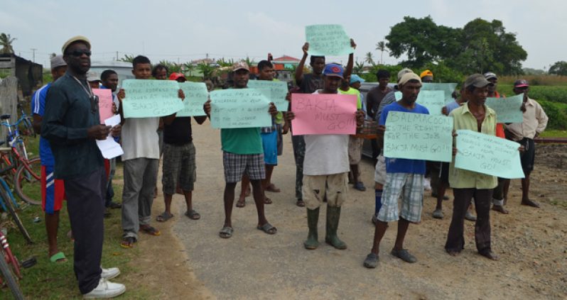Some of the farmers protesting at Hope Estate yesterday