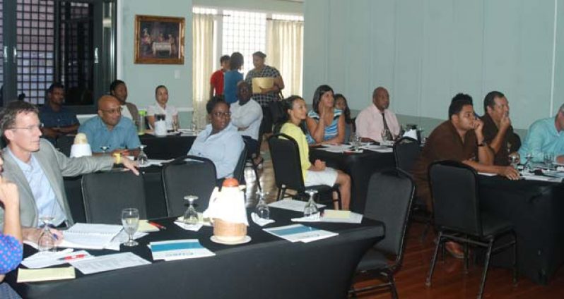 Members of the gathering for the Cuso workshop on Corporate Social Responsibility (CSR) at the Duke Lodge.