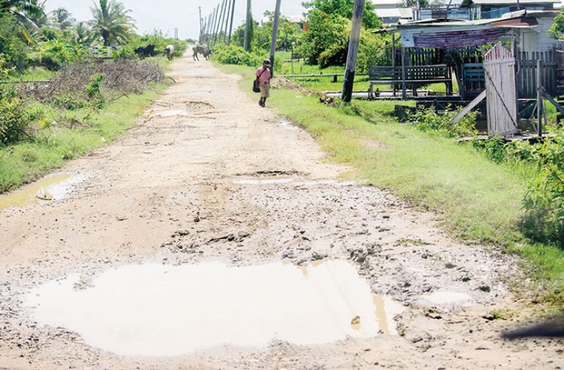 Scared and in tears, this nursery school child turns back for fear of being attacked by cows which graze along the damaged roadway.