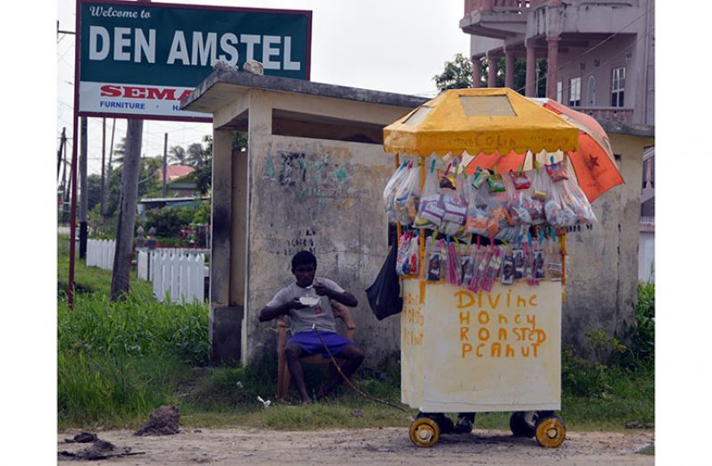 Colin Wellington’s roadside stand