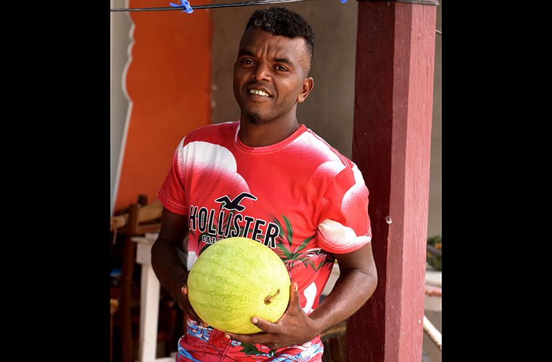Cromarty Village is located in Corentyne, Berbice,
Region Six. It is a small village of about 200
persons most of whom are farmers. The community
has much agricultural potential. In this
photo, a resident proudly displays a watermelon
from his farm (Carl Croker photo)