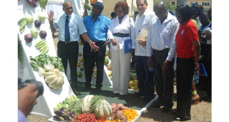 Agriculture Minister, Dr. Leslie Ramsammy with Dr. Oudho Homenauth, FAO’s Ms. Khadija Musa, IICA’s Mr. Wilmot Garnet and others admire a display aimed at encouraging the ‘go local’ move.