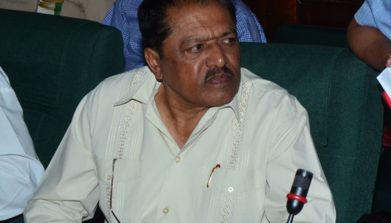 Junior Agriculture Minister Ali Baksh in the National Assembly