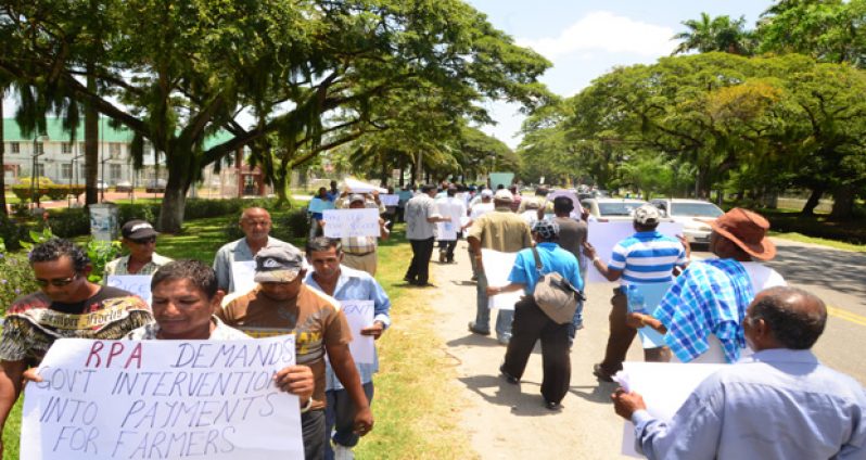 Rice Farmers picketing on Vlissengen Road, Georgetown yesterday (Adrian Narine photo)
