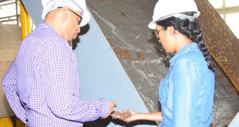 Patricia Bacchus, Managing Director of CCI, explaining part of the process to Minister Robert Persaud