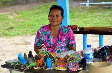 Brenda Phillips and her craft (Carl Croker photos)