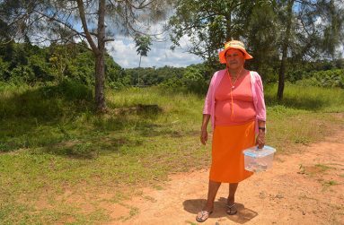 Karawab Councillor
Shirley Miguel