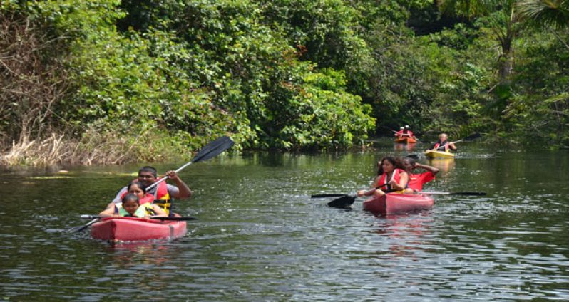 Kayaking along the black waters of the Kamuni Creek