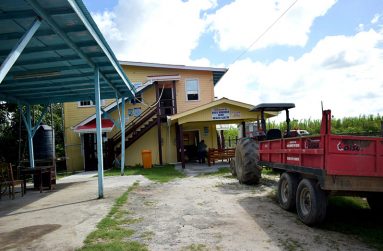 The Goed Bananen Land Health Centre (Carl Croker photos)