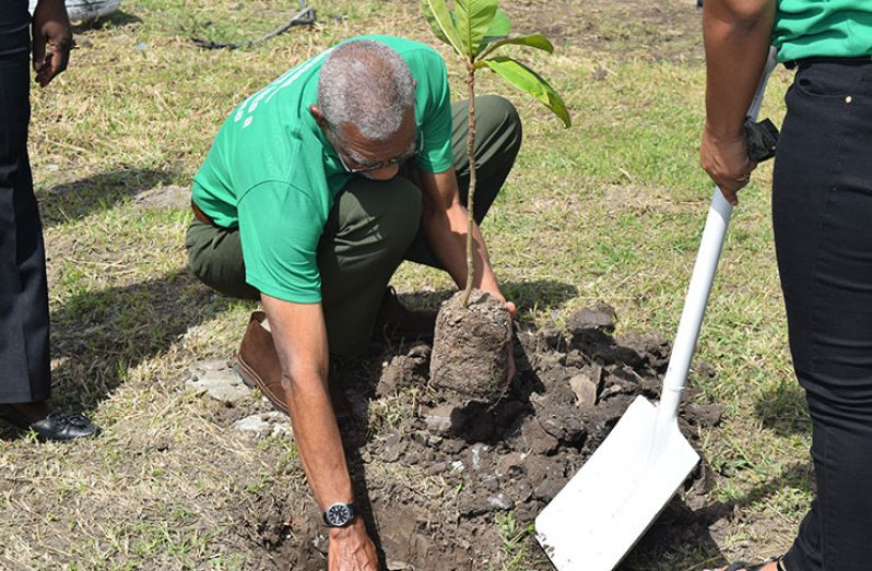 President David Granger leads the way in planting a tree at the Parade Ground during Earth Day observances yesterday