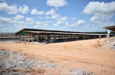The poultry farm at Loo Creek (Carl Croker photos)