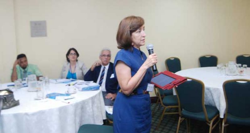 PAHO’s Dr. Rosalinda Hernandez delivering her remarks at the Workshop