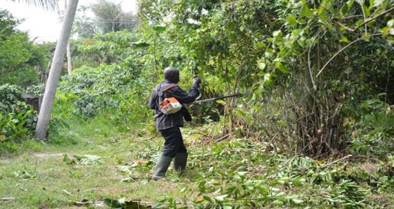 A man volunteering to clear the area of some of the overgrowth leading to the distressed family’s home