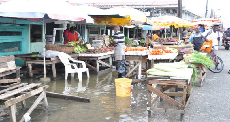 Vendors plying their wares at the Bourda Green yesterday