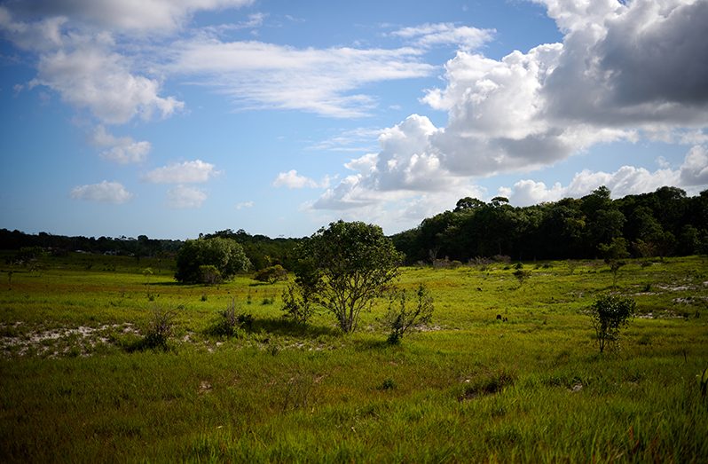 Laluni is home to countless majestic open grasslands Samuel Maughn photos)