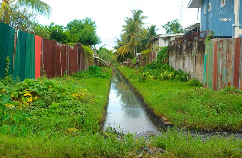 One of the recently cleared alleyways in South Ruimveldt.