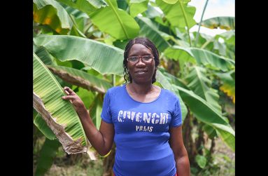 Single mother and farmer, Dionne James (Samuel Maughn photos)