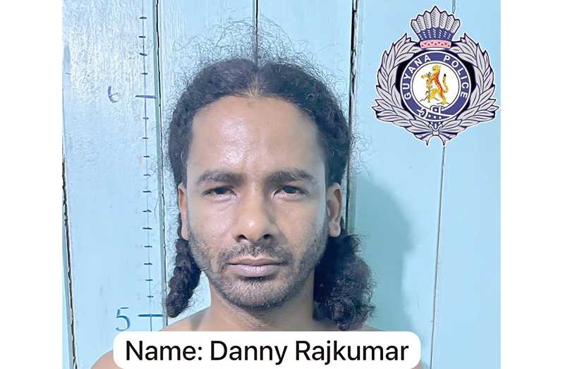 Remanded: Danny Rajkumar