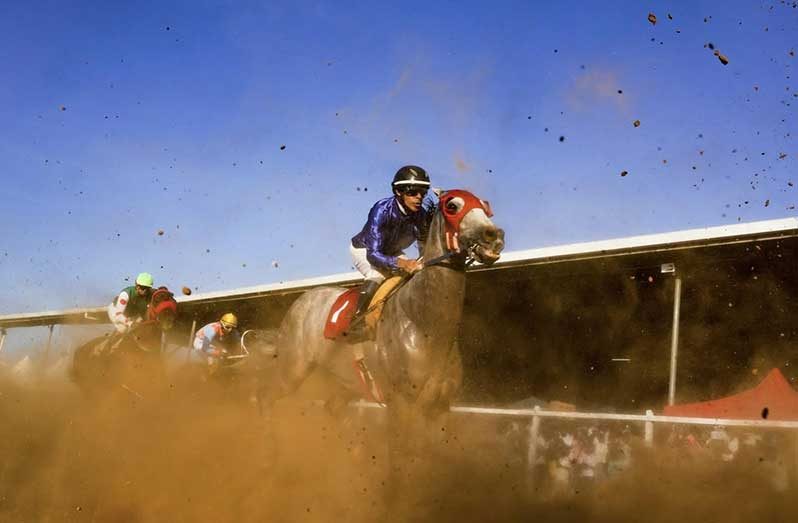 Dataman set to claim horse of the year award for 2025
