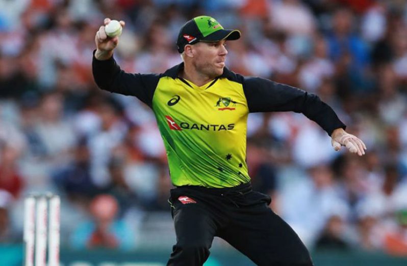 Australia have strength in numbers and answered their critics in the T20 tri-series with England and New Zealand, says David Warner.