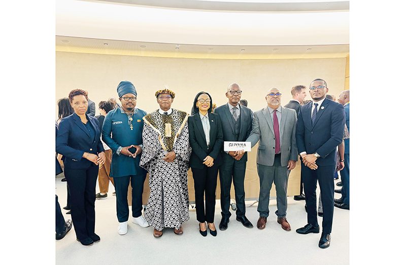 The Guyana Delegation at the UN Permanent Forum on People of African Descent which includes Minister of Tourism, Industry and Commerce, Oneidge Walrond (fourth from right), Minister of Labour, Joseph Hamilton (third from right) and ERC Commissioner, Neaz Subhan (second from right)