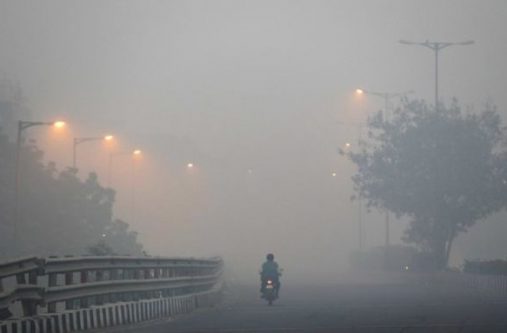 delhi