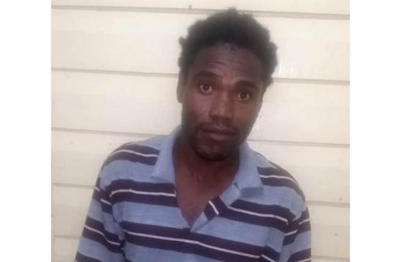 The police arrested Desmond Junior Lewis, who was sentenced sometime ago in absentia to six years in prison on two counts of armed robbery committed in 'A' Division (Guyana Police Force photo)