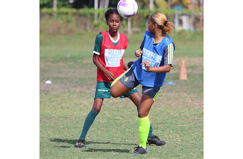 Some of the action during this year's competition