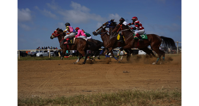 The feature race for April 26