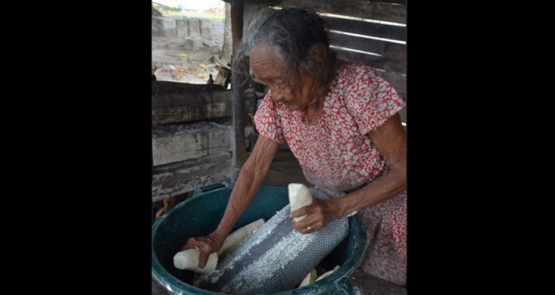 Though battling severe arthritis pain, Iris Sutton, 90, clings to what she knows best – baking cassava bread for a living. In this photo she starts the process by grating the cassava