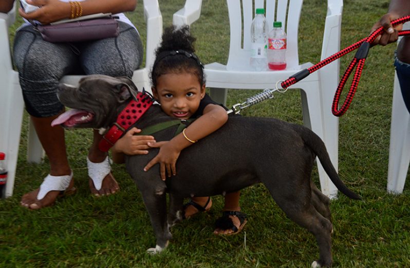 This little girl shows her love to this pitbull during the dog show held at the YMCA ground