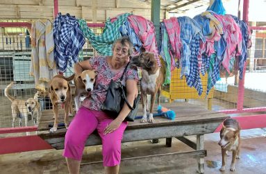 ‘Every day is a nice experience with the dogs.’ – Marlin