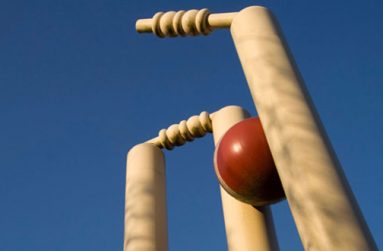 Download-Cricket-Stumps-Desktop-Wallpaper