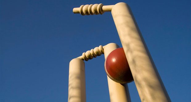 Download-Cricket-Stumps-Desktop-Wallpaper