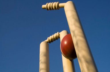 Download-Cricket-Stumps-Desktop-Wallpaper