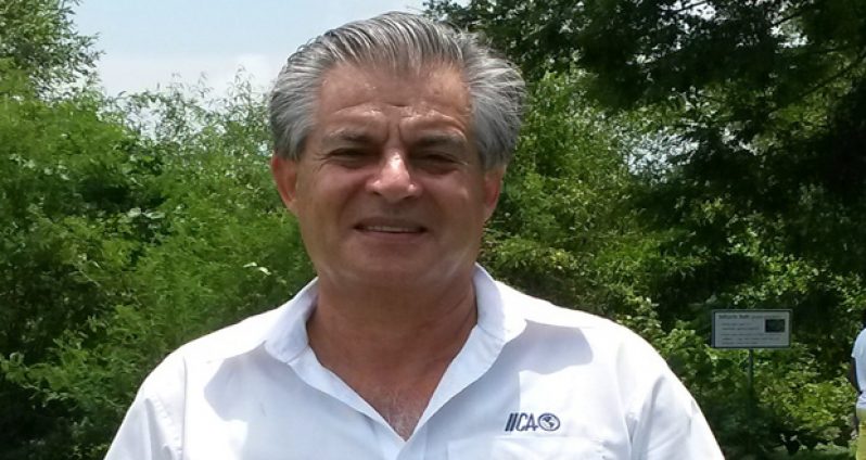 IICA staffer and expert bee keeper, Dr Manuel Sanchez