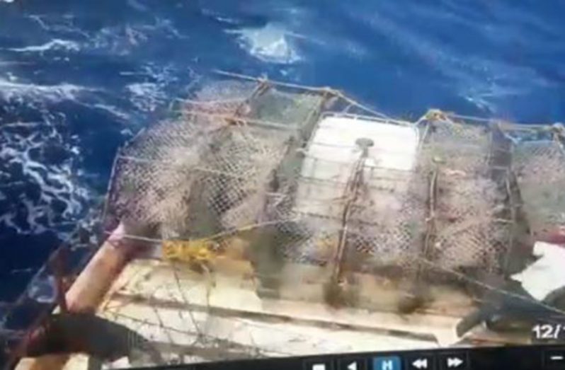 At extreme left shows the fisherman being tossed through the barrier while his colleague struggled to hold his ground in the rough sea