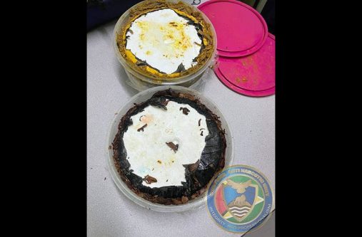 The suspected cocaine concealed in a bowl of frozen curry and a bowl of frozen pepperpot