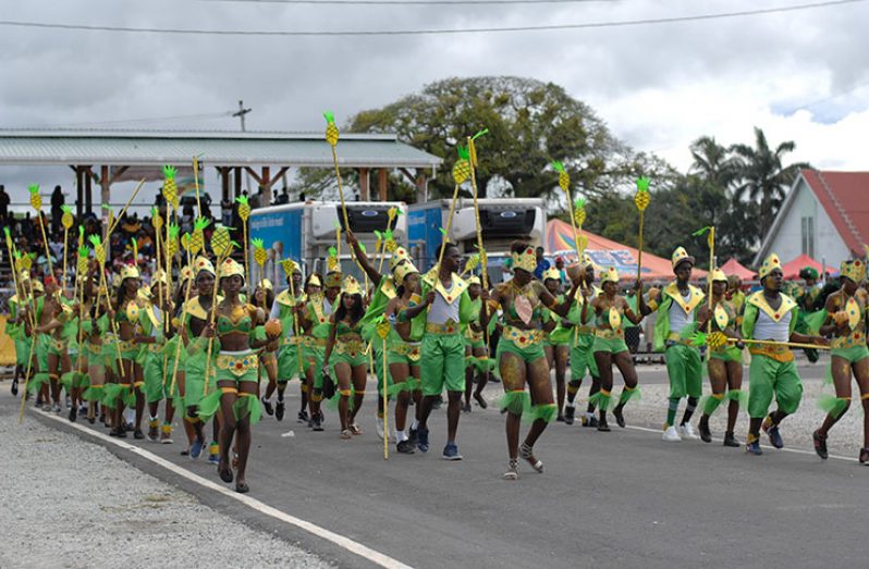 Revellers from the RDC (Region Three) parading with their coconuts in hand